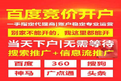 初学者的百度竞价推广：成功案例揭秘